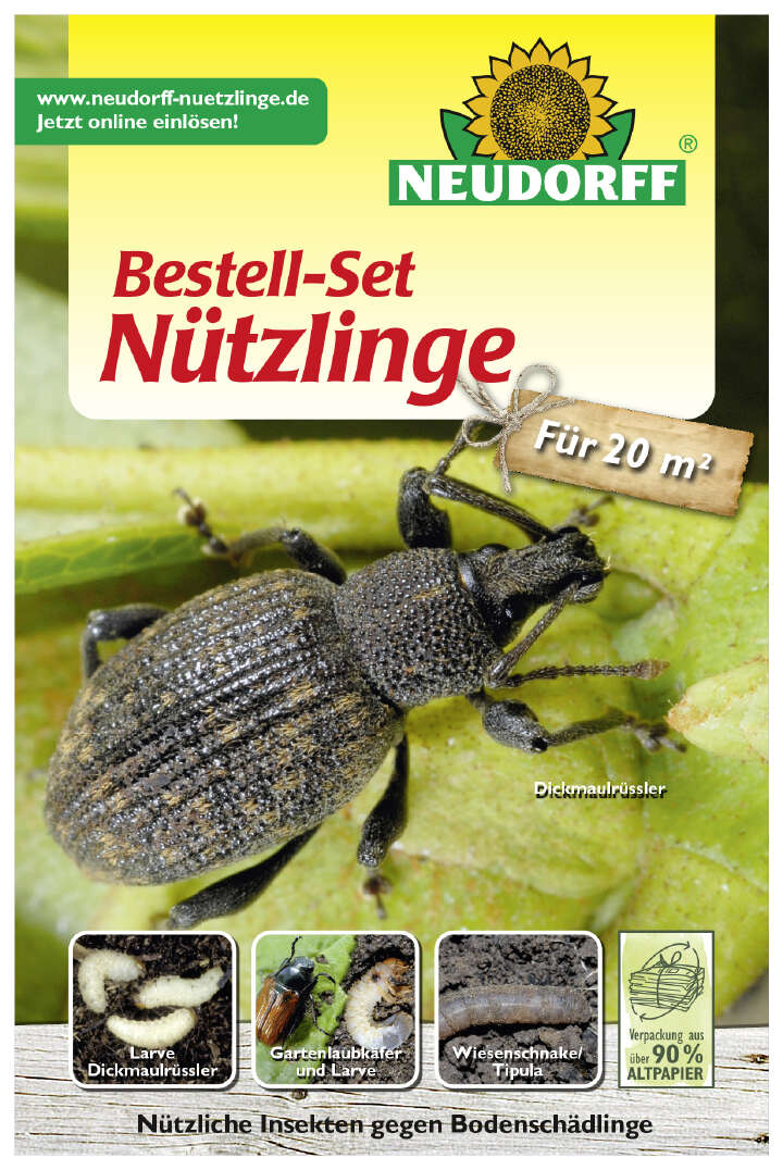 NEUDORFF Bestell-Set Nützlinge gegen Bodenschädlinge